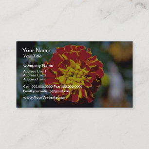 Red And Yellow Marigold flowers Business Card