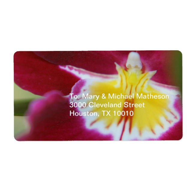 Red and Yellow Orchid (Front)