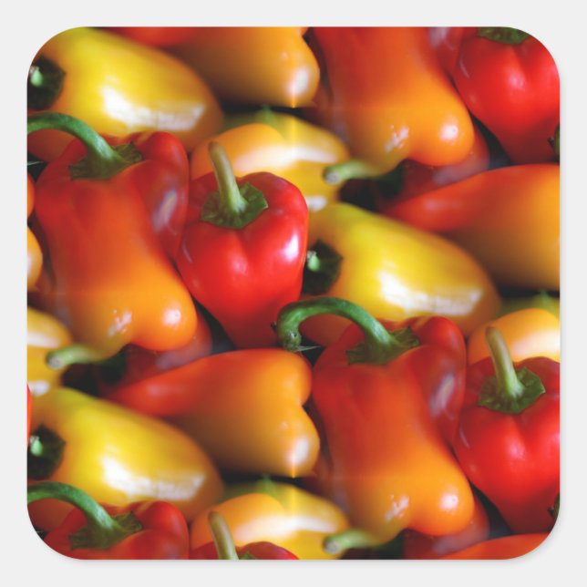 Red and Yellow Peppers Square Sticker (Front)