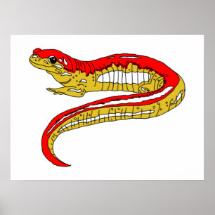 Red and Yellow Salamander Poster