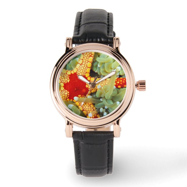 Red And Yellow Sea Star Watch (Front)
