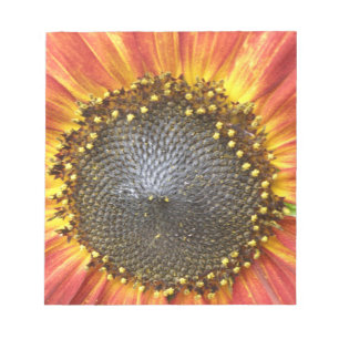 Red and Yellow Sunflower Notepad