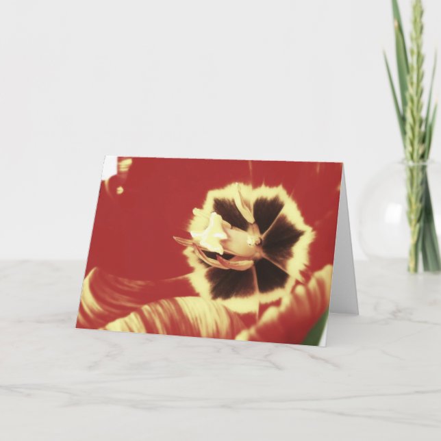 Red and Yellow Tulip Blank Greeting Card (Front)
