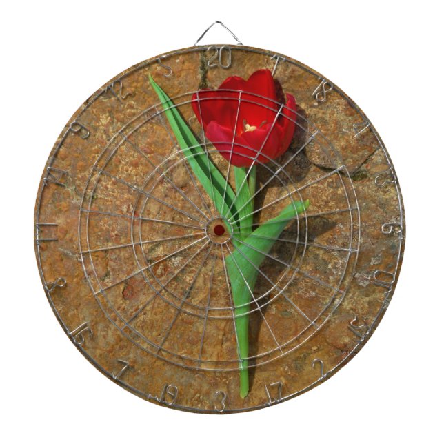 Red and Yellow Tulip Dartboard (Front)