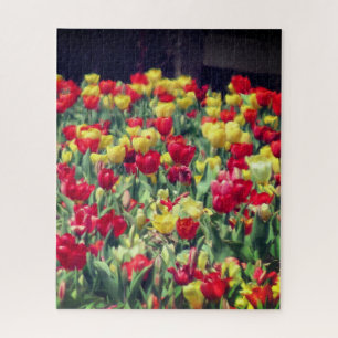 Red and Yellow Tulip Field Jigsaw Puzzle