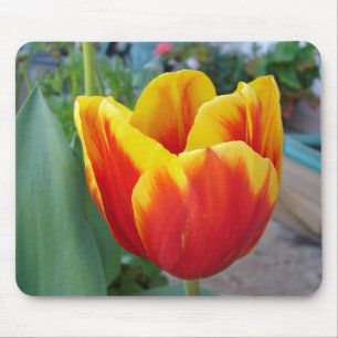 Red and Yellow Tulip floral Garden Photo Mouse Mat