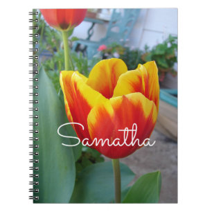 Red and Yellow Tulip floral Garden Photo Notebook