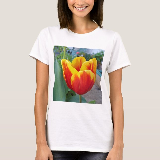 Red and Yellow Tulip floral Garden Photo T-Shirt (Front)