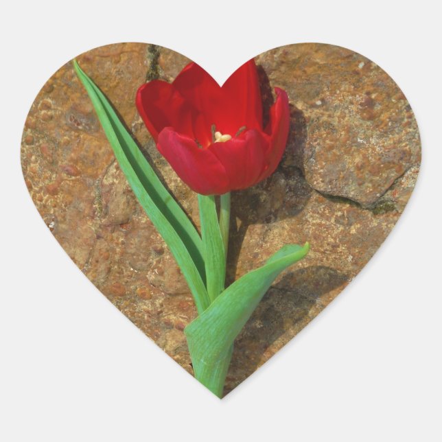 Red and Yellow Tulip Heart Sticker (Front)