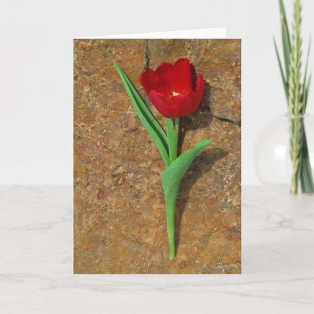 Red and Yellow Tulip Holiday Card (Front)