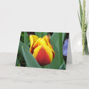 red and yellow tulip note card
