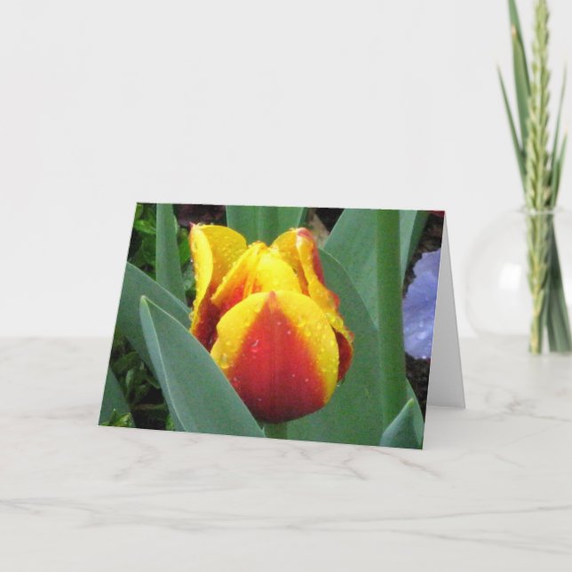 red and yellow tulip note card (Front)