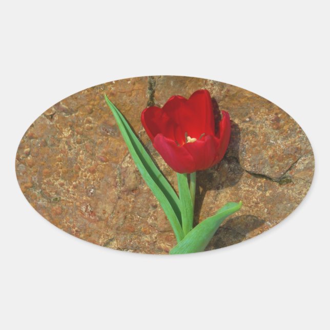 Red and Yellow Tulip Oval Sticker (Front)