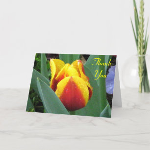 red and yellow tulip thank you note card