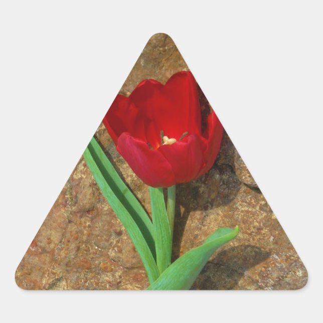 Red and Yellow Tulip Triangle Sticker (Front)
