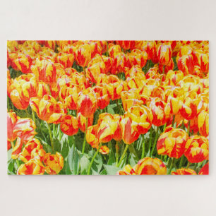 Red and yellow tulips jigsaw puzzle
