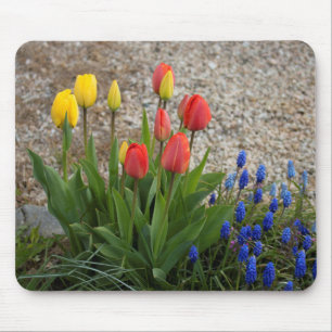 Red And Yellow Tulips Mouse Mat