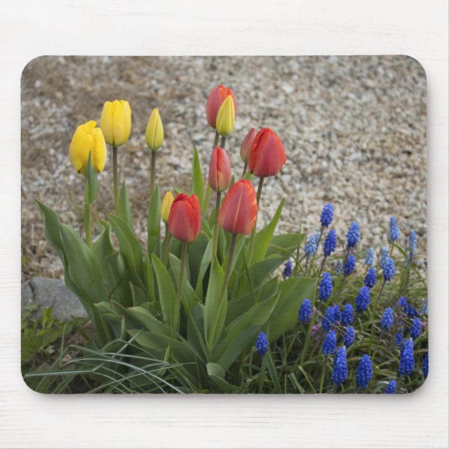 Red And Yellow Tulips Mouse Mat (Front)