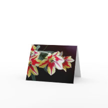 Red and Yellow Tulips Note Card