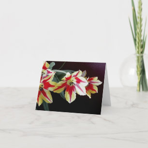 Red and Yellow Tulips Note Card
