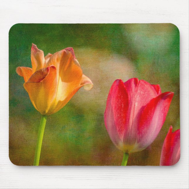 Red and yellow tulips on textured background mouse mat (Front)