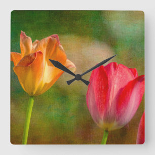 Red and yellow tulips on textured background square wall clock