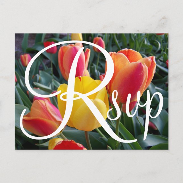 Red and Yellow Tulips Photo Contemporary RSVP Invitation Postcard (Front)