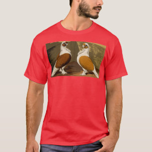 Red and Yellow Turbin pigeons with smooth heads T-Shirt