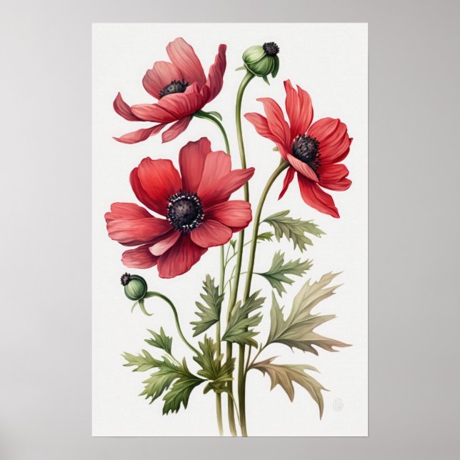 Red Anemone Flowers Art Print Poster (Front)