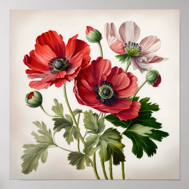 Red Anemone Flowers Art Print Poster (Front)