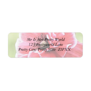 Red Angel's Choir Poppy