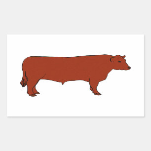 Red Angus Bull Rectangular Sticker