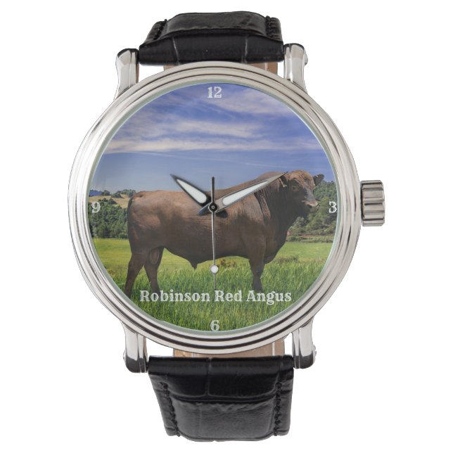 Red Angus Bull  Watch (Front)