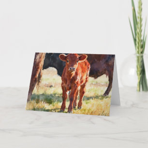 Red Angus Calf Study A In Watercolor Card