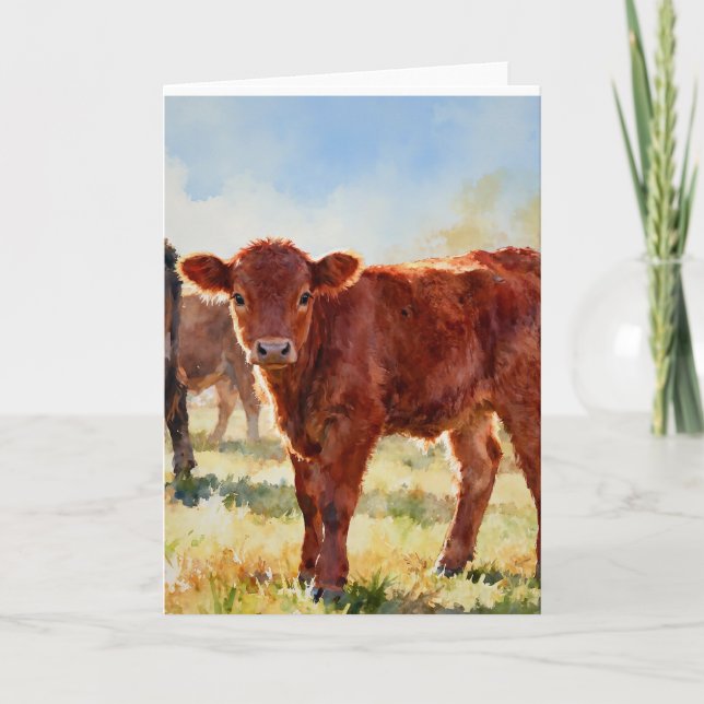 Red Angus Calf Study A In Watercolors Card (Front)