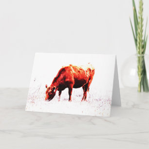Red Angus Farm Artsy Cow Note Card