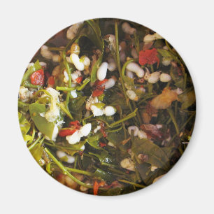 Red Ant Egg Salad ... Thai Street Food Magnet