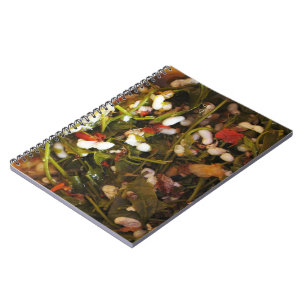 Red Ant Egg Salad ... Thai Street Food Notebook