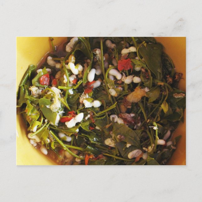 Red Ant Egg Salad ... Thai Street Food Postcard (Front)