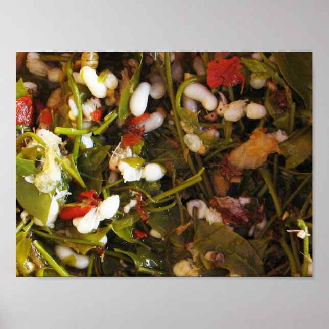 Red Ant Egg Salad ... Thai Street Food Poster (Front)