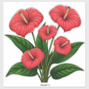 Red Anthurium Flowers with Green Leaves