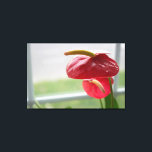 Red Anthurium Tropical Flower on Wrapped Canvas<br><div class="desc">Transform your living space into a tropical oasis with our Red Anthurium Tropical Flower on Wrapped Canvas. This stunning artwork captures the essence of nature's beauty and brings it into your home. The scene depicts a radiant anthurium flower basking in sunlight by a window, a moment of serenity and natural...</div>