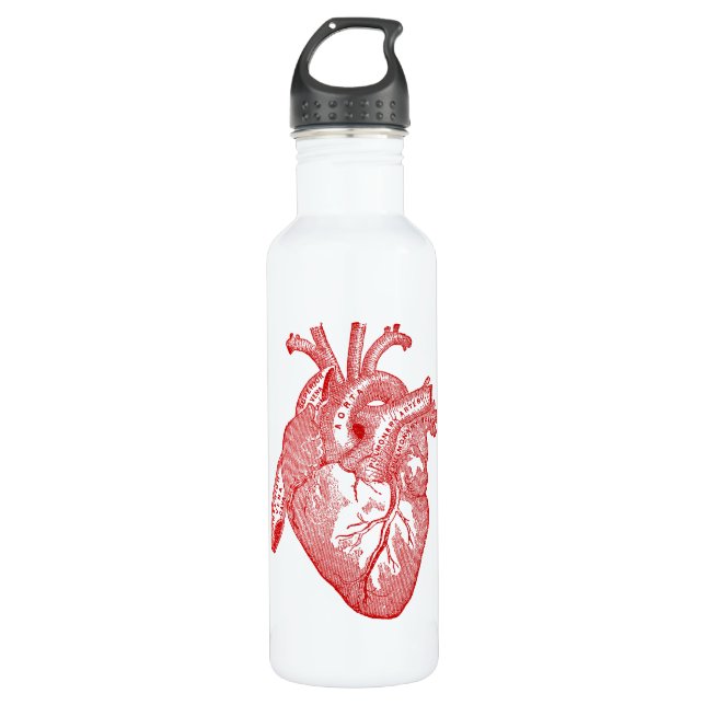 Red Antique Anatomical Heart 710 Ml Water Bottle (Front)