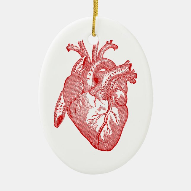 Red Antique Anatomical Heart Ceramic Tree Decoration (Front)