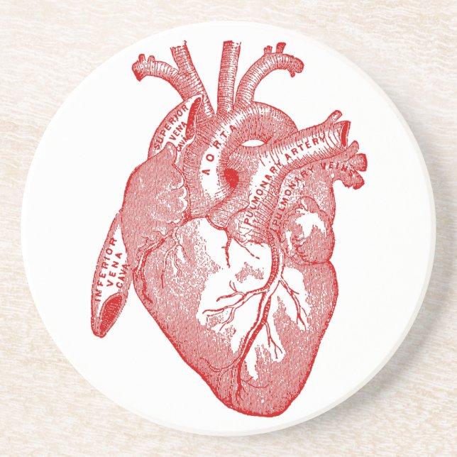 Red Antique Anatomical Heart Coaster (Front)