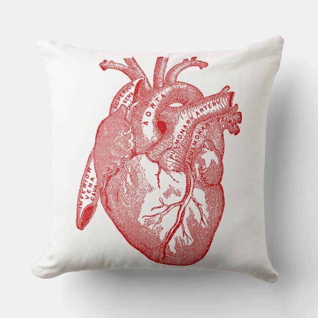 Red Antique Anatomical Heart Cushion (Front)