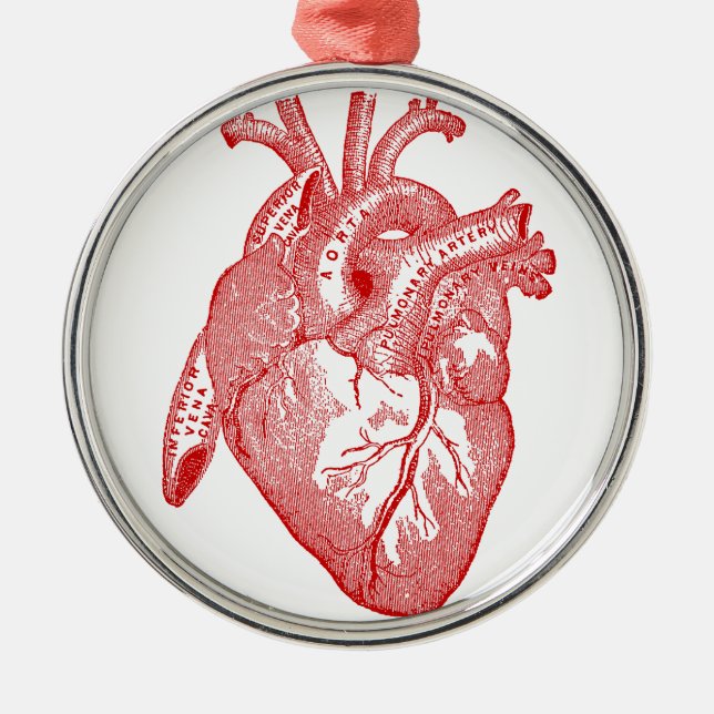 Red Antique Anatomical Heart Metal Tree Decoration (Front)