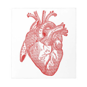 Red Antique Anatomical Heart Notepad