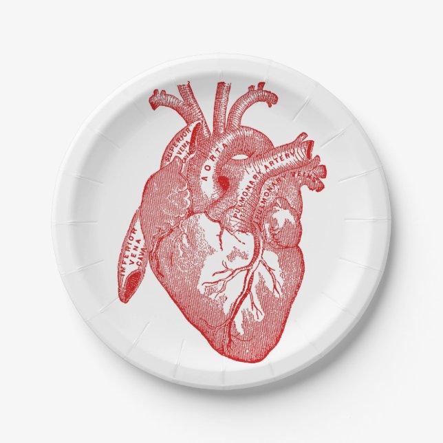 Red Antique Anatomical Heart Paper Plate (Front)