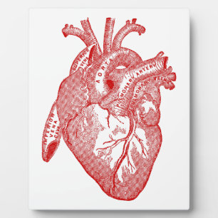Red Antique Anatomical Heart Plaque